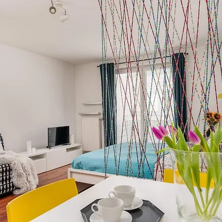Colors * 포즈난